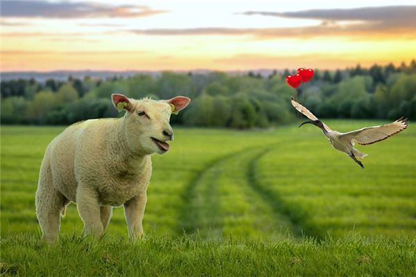 米伽羅的姓名打分結(jié)果_米伽羅五行分析