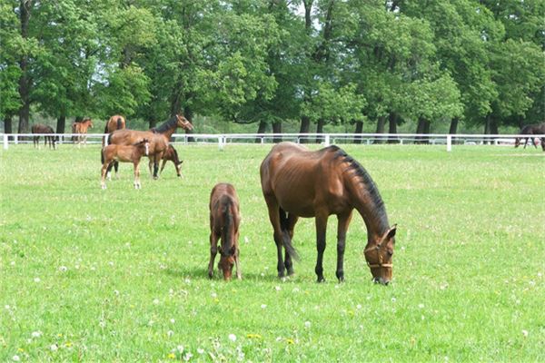 姓氏起名_薄錫來