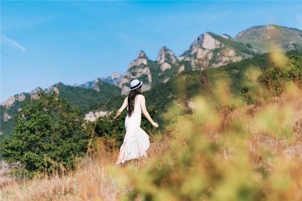 取名字打分:吳澤洋