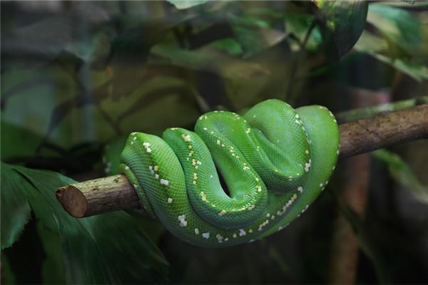 好聽的小名:谷翼崎