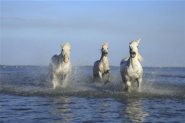 寶寶姓名打分:吳辰陽