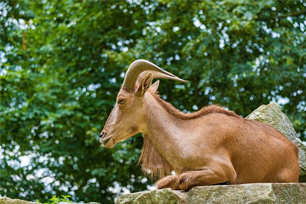 寶寶取名_小孩子取名字大全女生