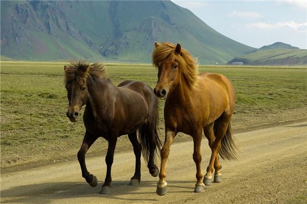 寶寶取名_詩經(jīng)里的唯美句子取名  第1張