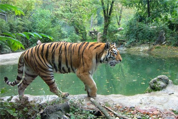 寶寶取名_抖音怎么改名字