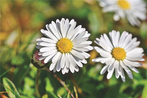 王祥灃的姓名打分結(jié)果_王祥灃五行分析