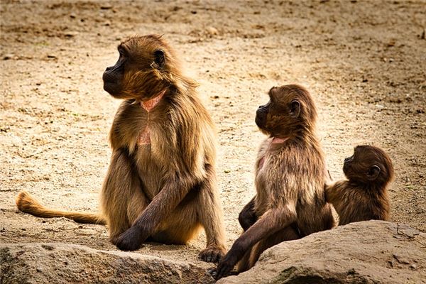 好聽的群名字關于友誼