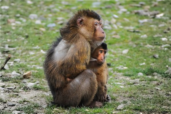 寶寶起名_周正業(yè)