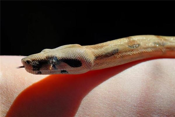 寶寶起名_周恬靜