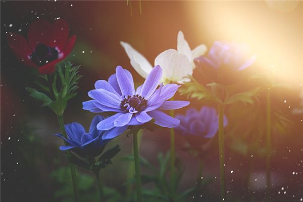 姓名得分測(cè)試_周賓實(shí)