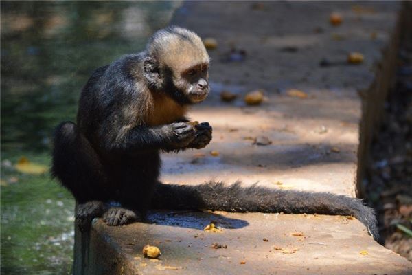 名字配對(duì)算命婚姻