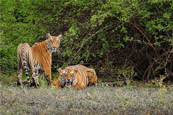 周碧瑤的姓名打分結(jié)果_周碧瑤五行分析